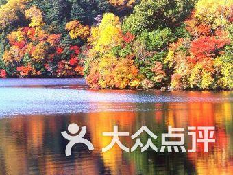 华为 2021 年营收较上年下降 28.9%，可能的原因是什么？游戏画面