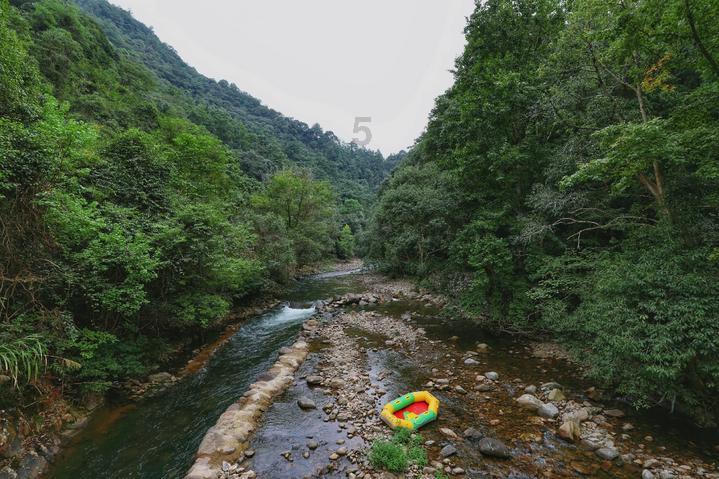 匆忙离开