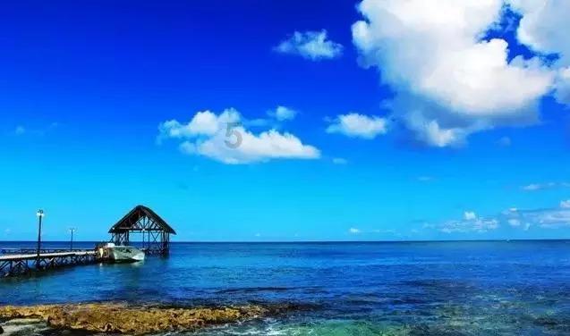 一顿浪漫晚餐