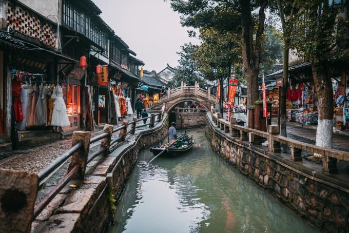 解救金刚鹦鹉
